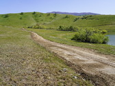 Enlarge photo 313