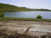 Enlarge photo 314
