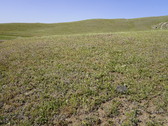 Enlarge photo 316