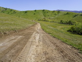 Enlarge photo 317