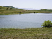 Enlarge photo 319