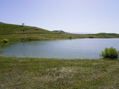 Enlarge photo 321