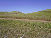 Enlarge photo 324