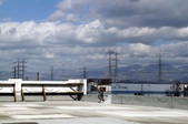 Enlarge photo 51