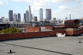 Willow Street Studios