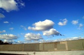 Enlarge photo 44