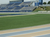 Enlarge photo 81
