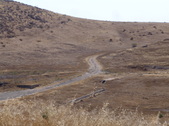 Enlarge photo 31