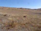 Enlarge photo 41