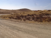 Enlarge photo 43