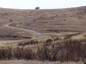 Enlarge photo 48