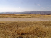 Enlarge photo 52