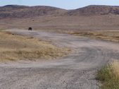 Enlarge photo 55