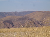 Enlarge photo 58