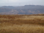 Enlarge photo 60