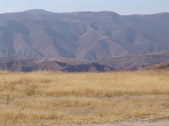 Enlarge photo 63