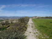 Enlarge photo 25