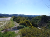 Enlarge photo 28