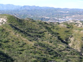Enlarge photo 38