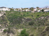 Enlarge photo 41