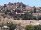Enlarge photo 26
