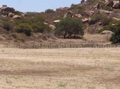 Enlarge photo 28
