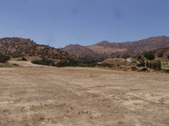 Enlarge photo 39