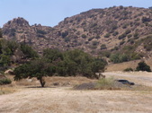Enlarge photo 44