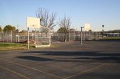 Enlarge photo 47