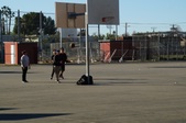 Enlarge photo 16