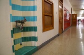 HALLS/TROPHY CASE