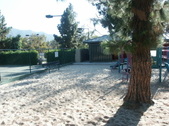 Enlarge photo 30