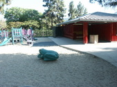 Enlarge photo 41