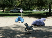 Enlarge photo 17