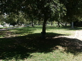 Enlarge photo 26
