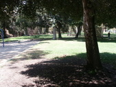 Enlarge photo 29