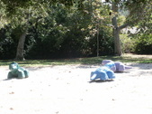 Enlarge photo 32