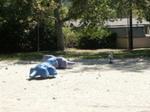 Enlarge photo 33