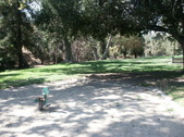 Enlarge photo 35