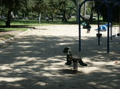 Enlarge photo 37