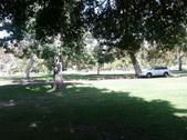 Enlarge photo 40
