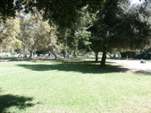 Enlarge photo 41