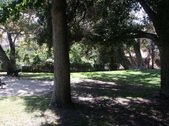 Enlarge photo 43