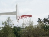 Enlarge photo 25