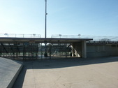 Enlarge photo 42