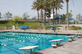 Enlarge photo 91