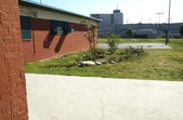 Enlarge photo 1