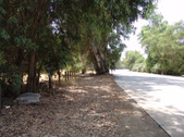 Enlarge photo 1