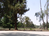 BURBANK BLVD