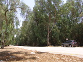 Enlarge photo 10
